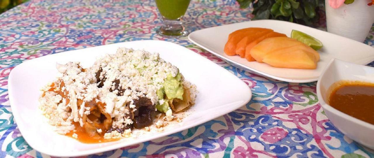 Hotel Anturium Oaxaca エクステリア 写真